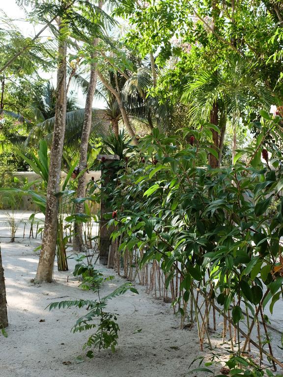 Rumah Jah Langkawi Pantai Cenang  Bagian luar foto